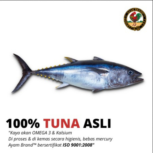 

Ayam nd - Ikan Tuna Kaleng Kari 6 pcs 160gr
