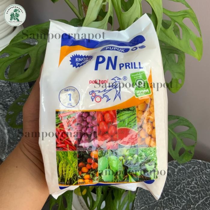 Pupuk Kno3 Putih Pn Prill Pak Tani 1 Kg - Kno3 Putih Pn Prill