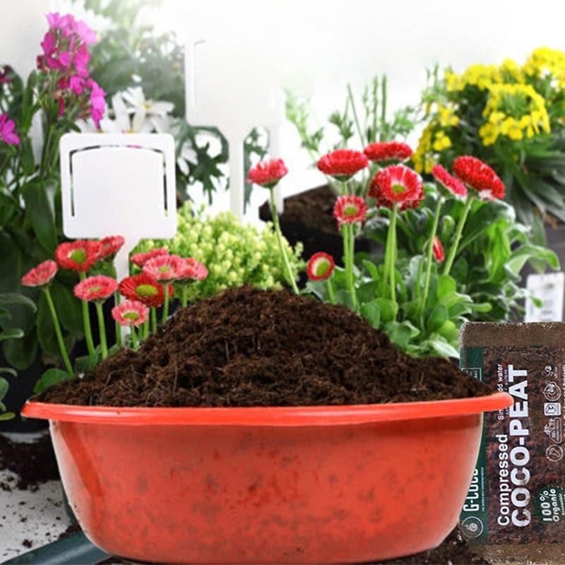 Coco Peat Compressed Coco Coir Chips With Low EC And PH Balance Natural Gardening Supplies Coconuts 