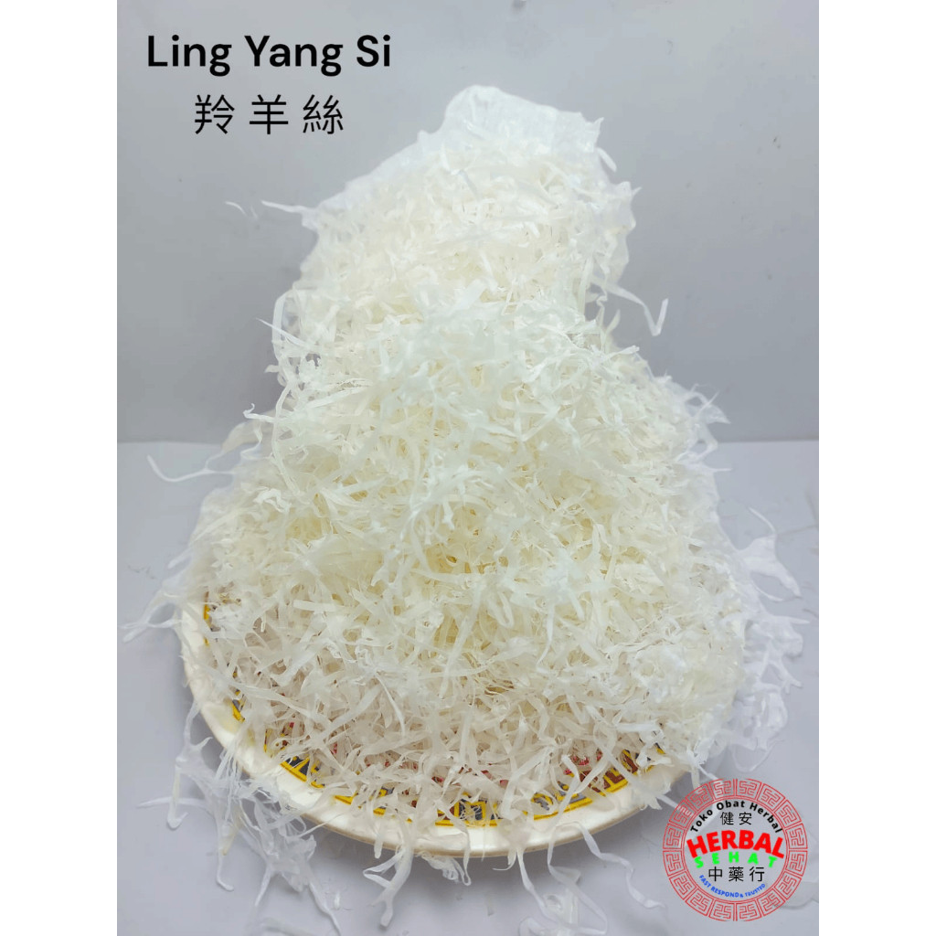 

Ling Yang Jiao Tanduk - Ling Yang Si /Lin Linyang/ComuAntelope Horn [PREMIUM]