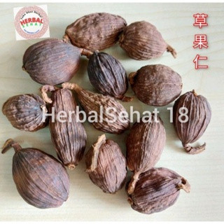 

Cao Guo Ren 1 Kilogram Black Cardamom Kapulaga Hitam / Tsaoko Amomum Fruit - CHO KO JIN [PREMIUM]