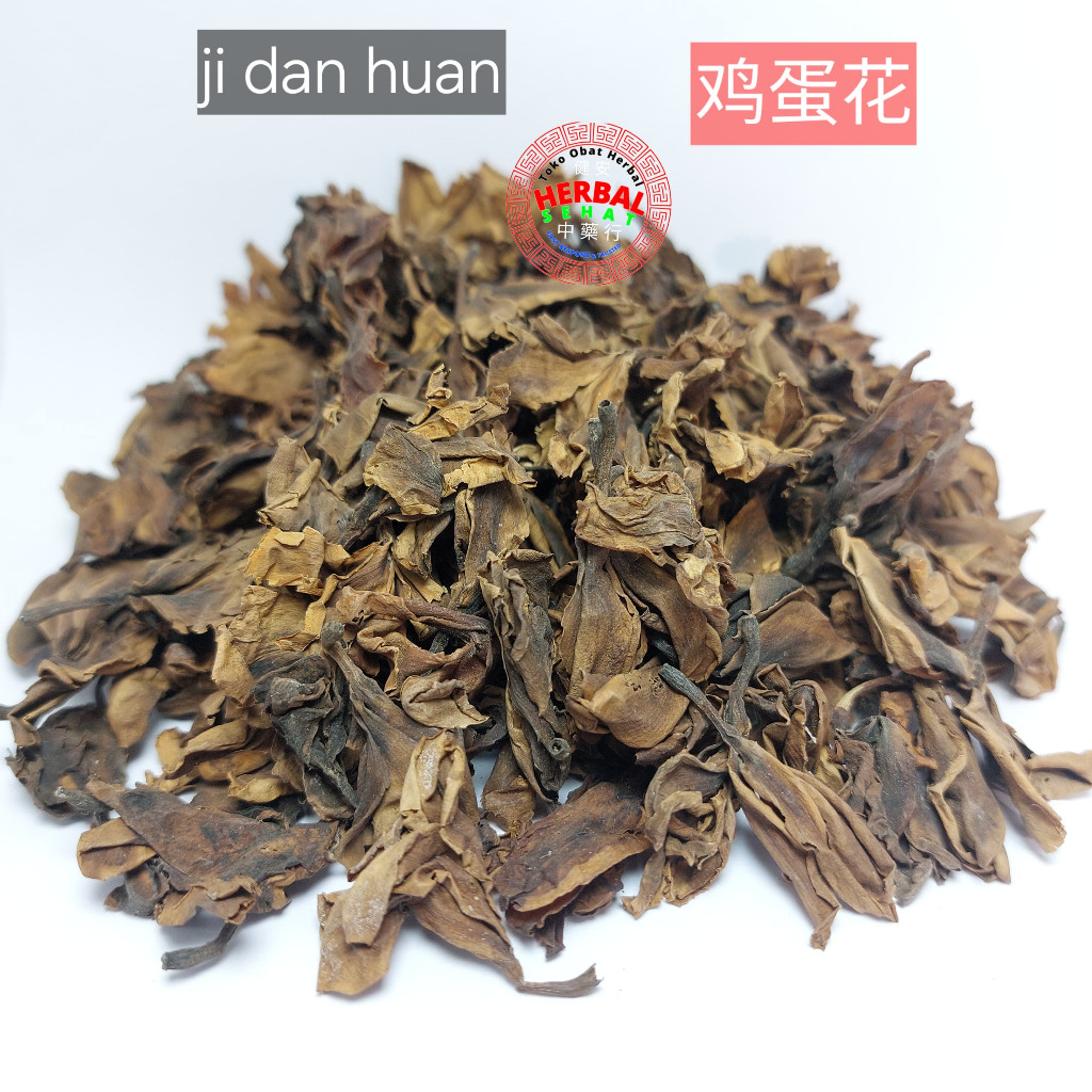 

Ji Dan Hua Bunga Kamboja - Plumeria [PREMIUM]