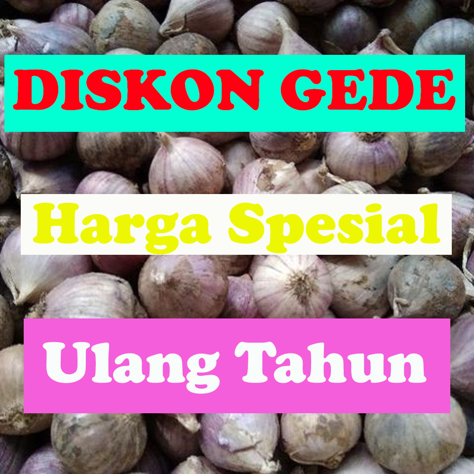 

Shakamori - Bawang Putih Tunggal / Lanang 1Kg