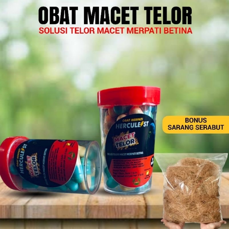 RB22 OBAT MERPATI MACET TELOR,JAMU OBAT KHUSUS MERPATI BETINA MACET TELOR /Giring keket /Stabil