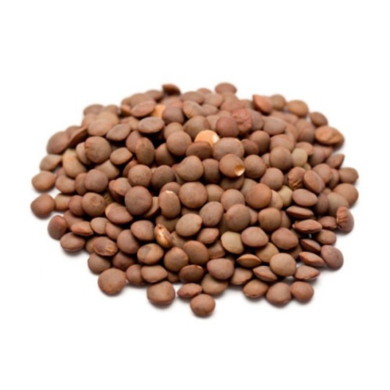 

Terlaris! Kacang Lentils /brown Lentils 1kg