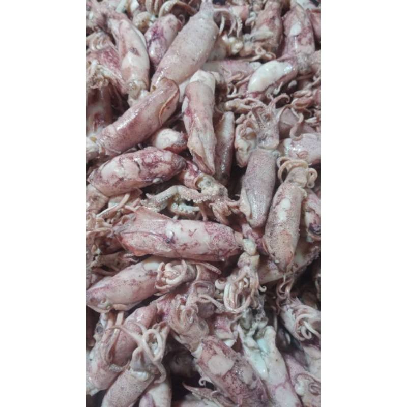 

Terlaris! cumi asin sedang 250grm