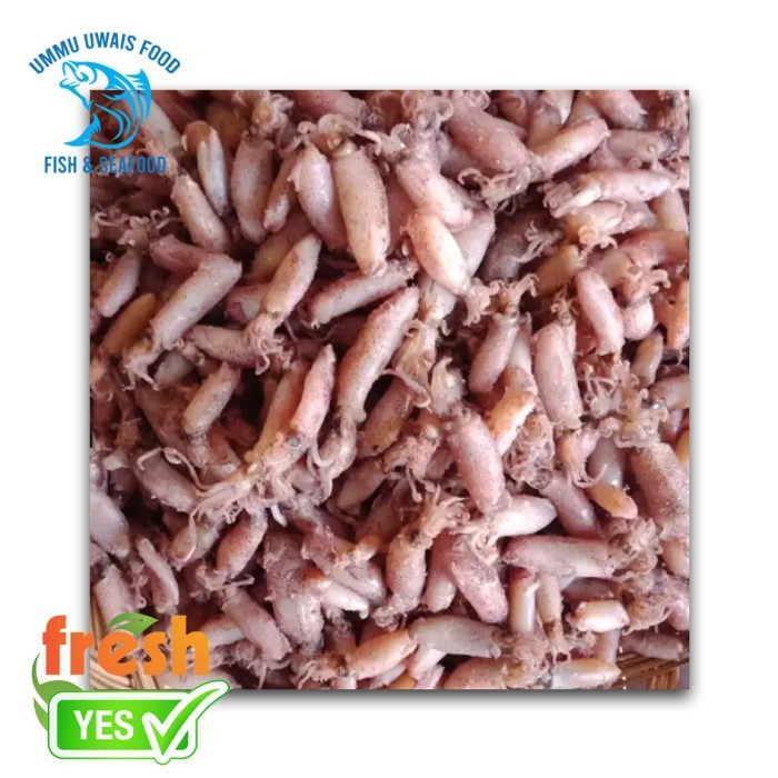 

Terlaris! Cumi Asin Baby - 250 Gram