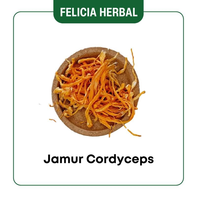 

Terlaris! Chong Cao Hua/ / Bunga Cordyceps