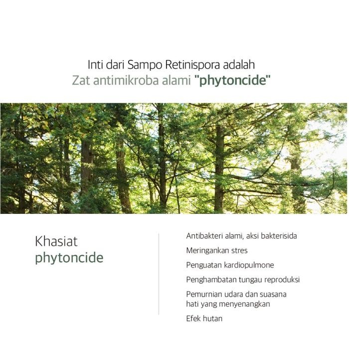 GRAFEN HINOKI SHAMPOO ( STREGHTENING HAIR SCALP )