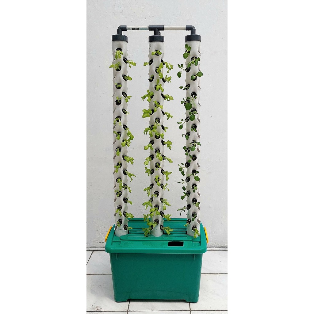 Terlaris Instalasi Hidroponik Vertikal Paket // Home Decor // Paket Lengkap