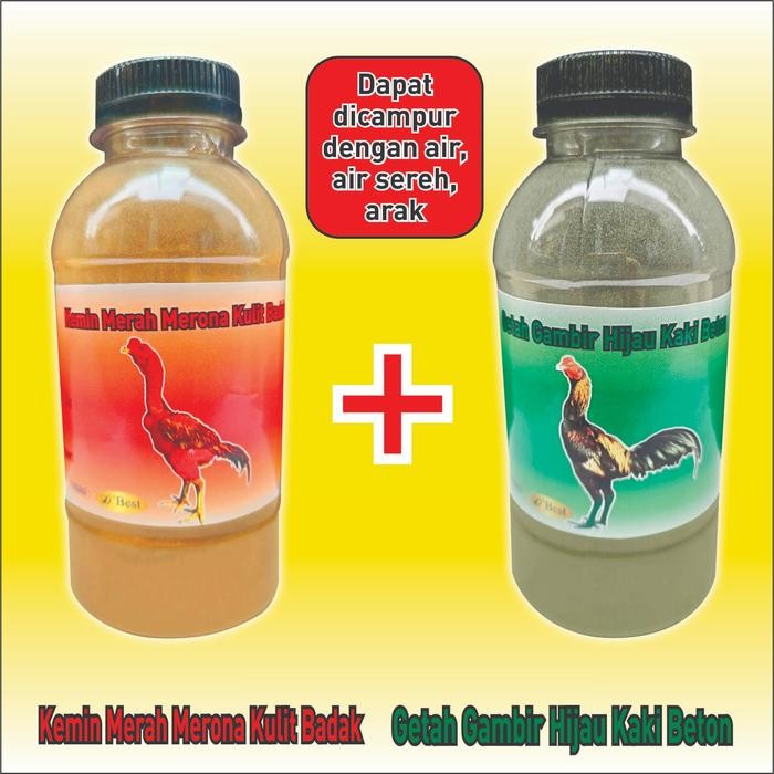 KEMIN 1 SET MERAH BADAN KULIT BADAK KEMIN HIJAU KAKI BETON KEMIN AYAM BUBUK BEST