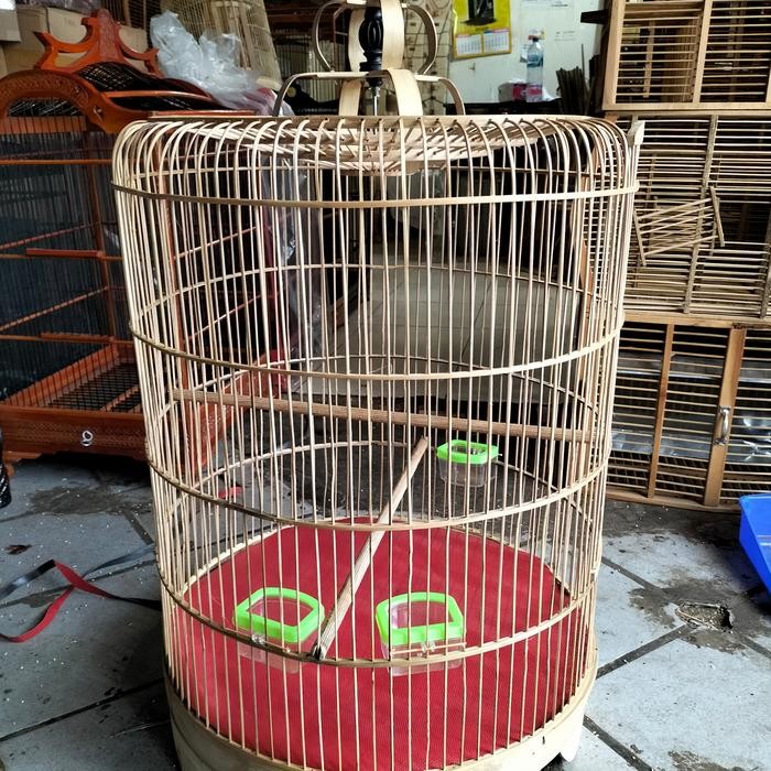 SANGKAR MURAI TARIK MENTAH( SOROKAN )