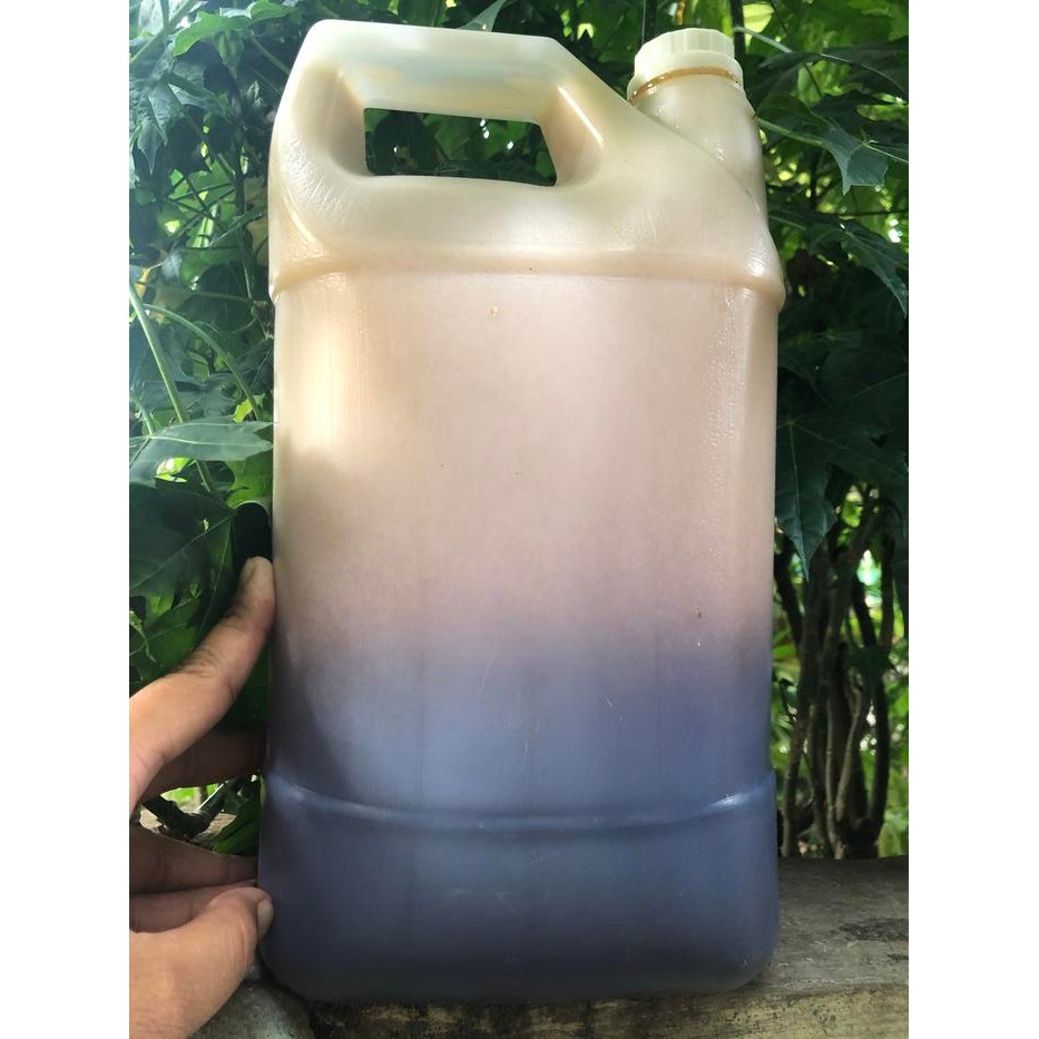 

Madu liar sialang 5kg