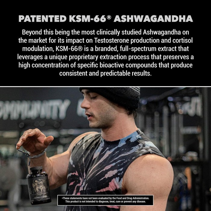 Gorilla Mind Sigma Testosterone Booster - Made with Tongkat Ali and Fadogia Agrestis Extract 120