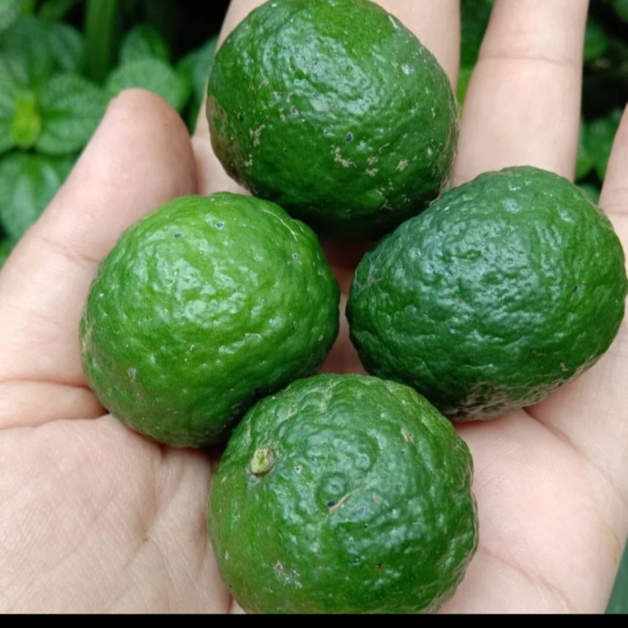 

JERUK LIMO SUPER MURAH 250gram