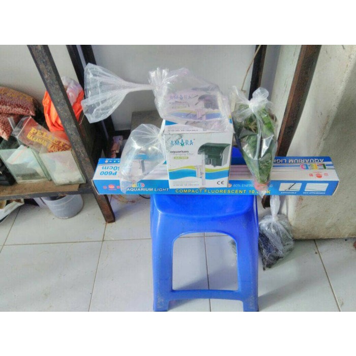 

Orderan Bp. fernando Kemenkumham