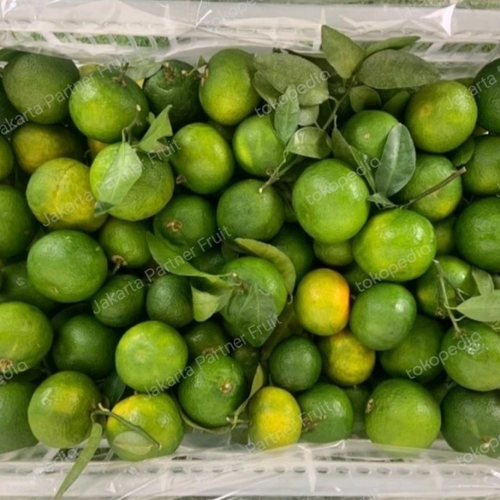 

Jeruk Shantang Hijau Madu Jeruk Shantang Manis 6 Kg / Keranjang