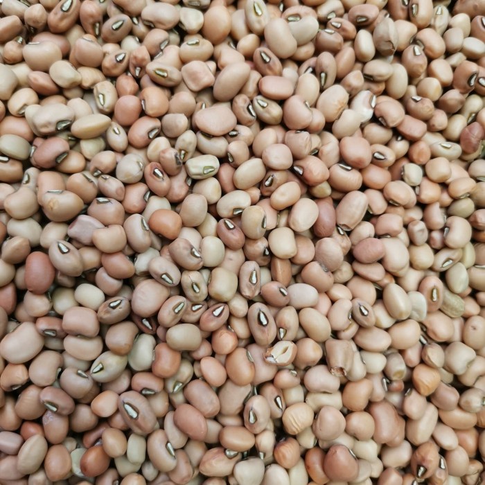 

Kacang Tolo/ Tunggak 1 Kg / 1000 Gr