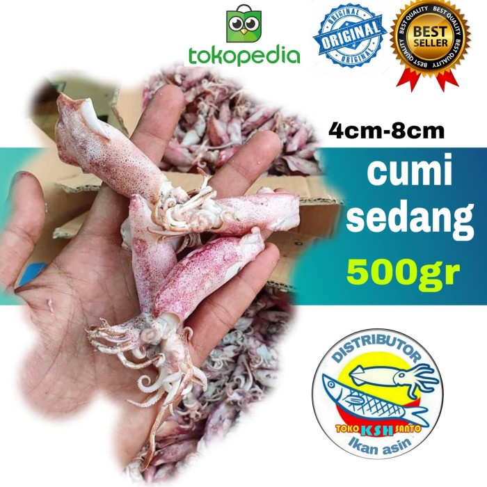 

Wdo - Aneka Ikan Asin Cumi