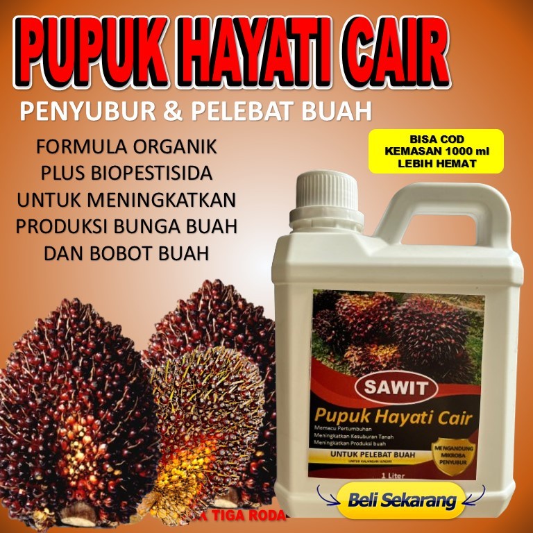 Promo Pupuk Cair Pelebat Buah Sawit Pupuk Cair Untuk Bibit Sawit Pupuk Cair Khusus Tanaman Sawit ZPT