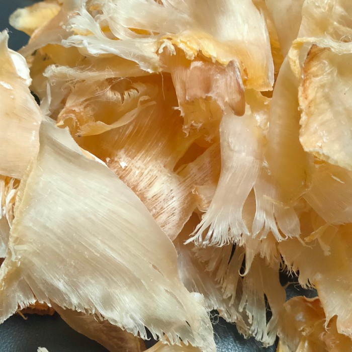 

BARANG TERLARIS Sirip Ikan Hiu Besar 100gram Murah