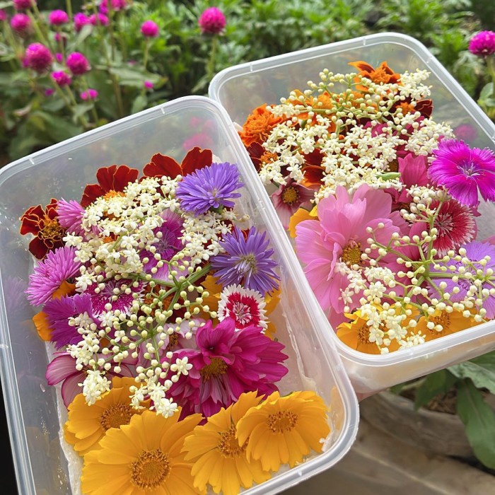 

Ready Stok" Edible Flower Mix