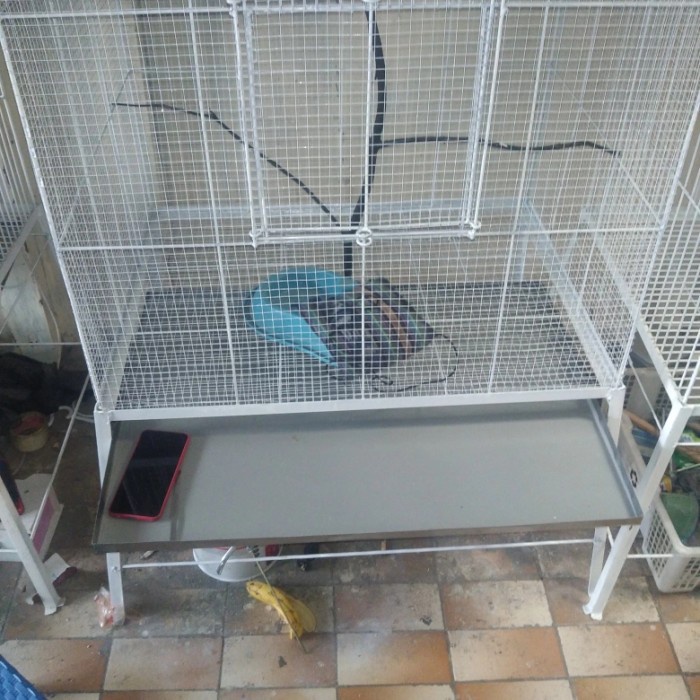 kandang burung lovebird/kandang koloni burung Besar DiskonJual MurahHarga DiskonObral