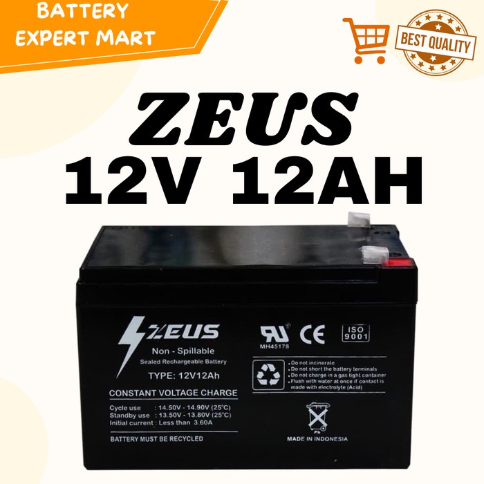 Aki Selis / Sepeda Listrik Richey VRLA 12v 12Ah / 12v12ah Zeus