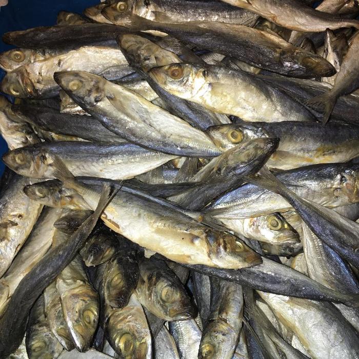 

Ikan asin peda layang premium