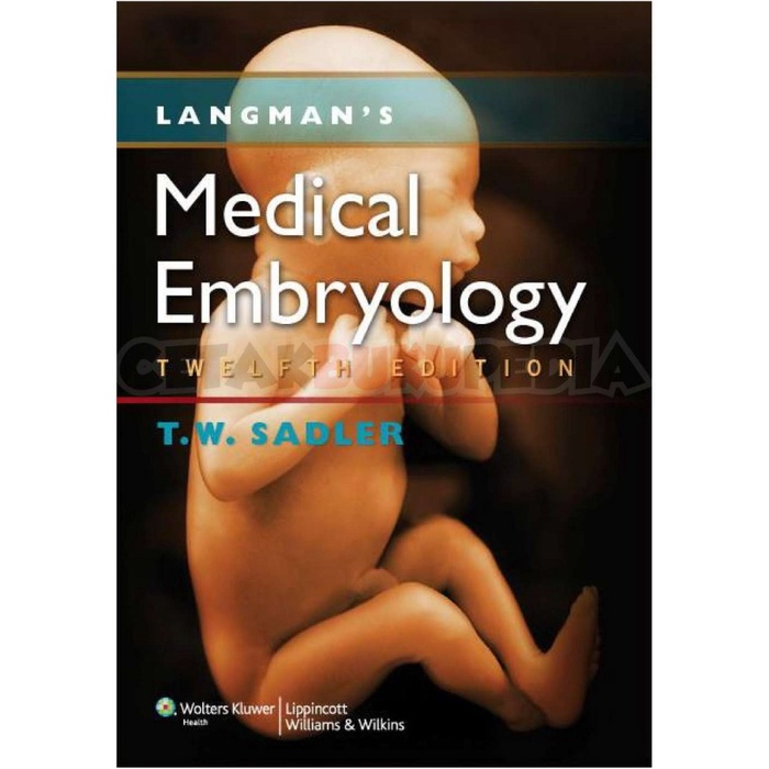 Book Langman'S Medical Embryology Softcover