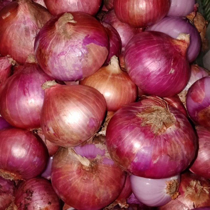 

Sale! Bawang Merah India