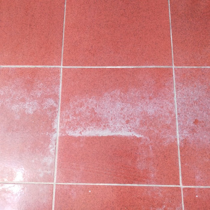 Diskon Ecolab Lemon Eze Chemical Penghilang Kerak Air