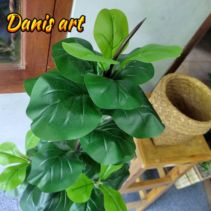 TOP POHON KETAPANG BIOLA PALSU/ POHON KETAPANG ARTIFICIAL/POHON KARET KEBO -