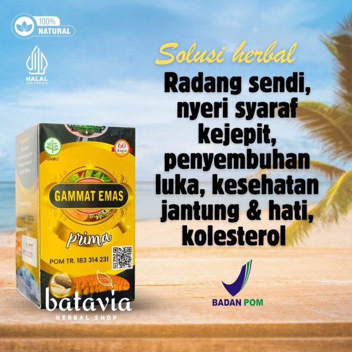 

Kapsul Gamat Emas Prima Gamat Gold Teripang Emas