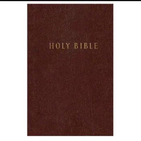 

Pew Bible Nlt (Hardcover)