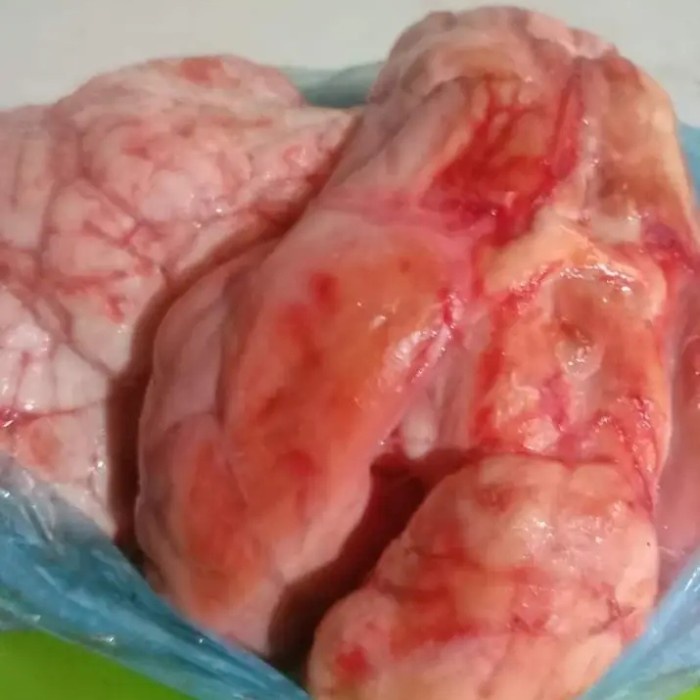 SALE TERHOTT OTAK SAPI SEGAR UTUH 1 PCS 1 KEPALA READYY