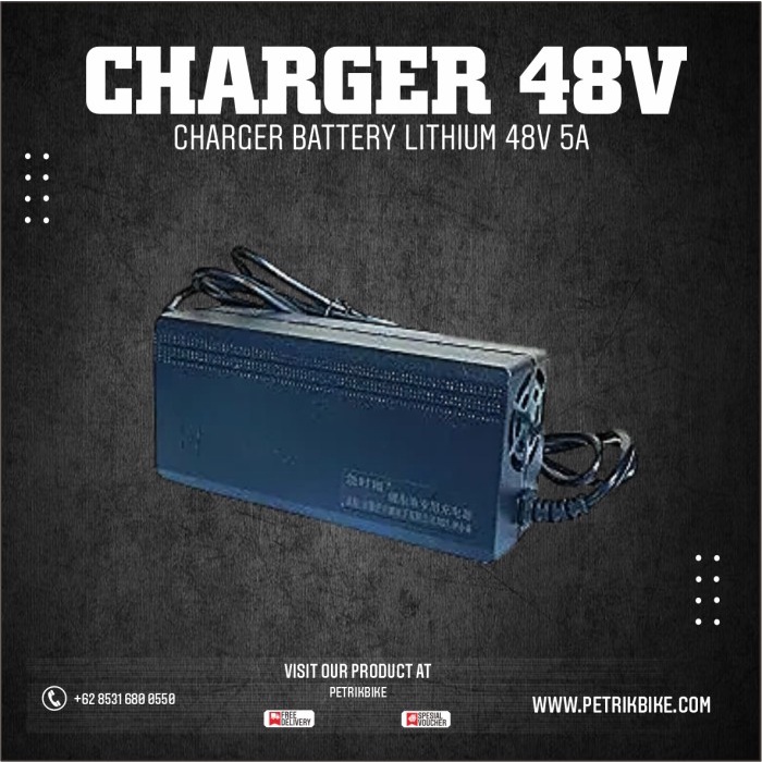 Charger Battery Lithium 48V 5A Fast Charging For Lithium Battery