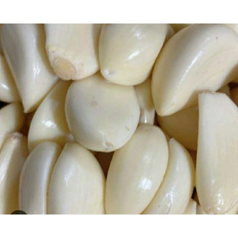 

Bawang Putih Kupas Fresh Rempah-Rempah Umbi
