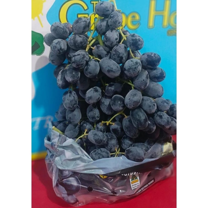 ANGGUR BLACK AUTUMN AUSTRALIA 500 GR MANIS