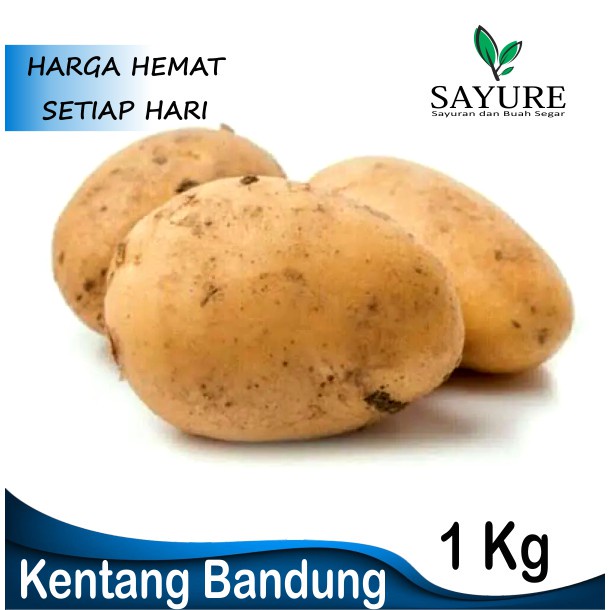 

KENTANG BANDUNG 1 KG