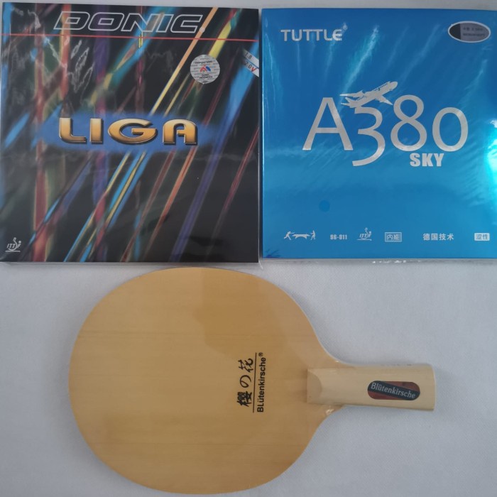 Bat tenis meja pen holder B 2015 Full Hinoki plus karet serang Set