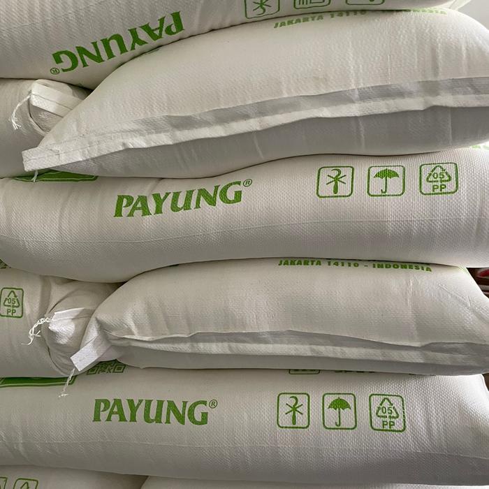 

SALE !!! TERIGU BOGASARI CAP PAYUNG 25KG READYY