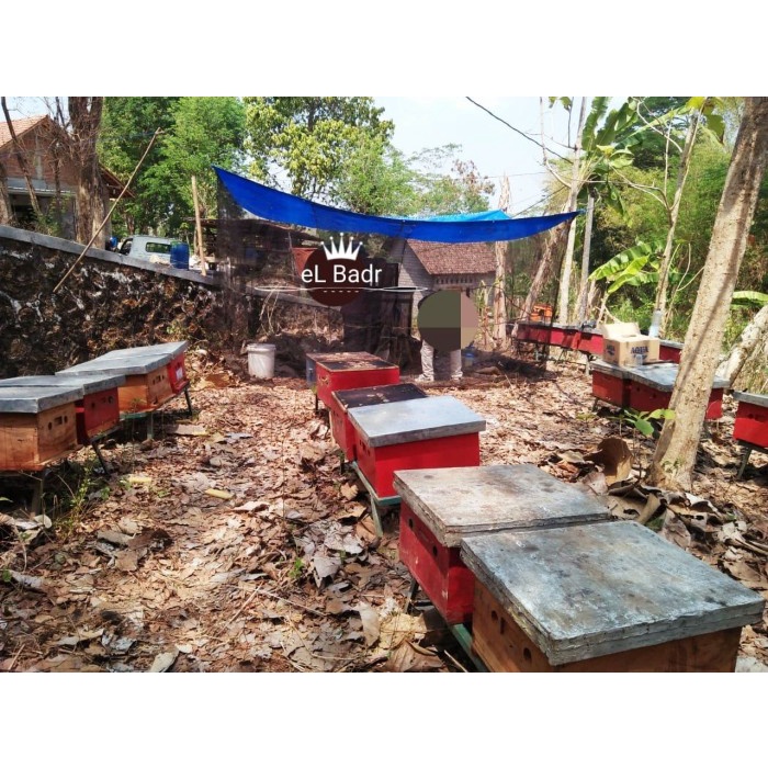 

BARANG TERLARIS [1 Kg] Madu Asli Murni dan Alami El Badr