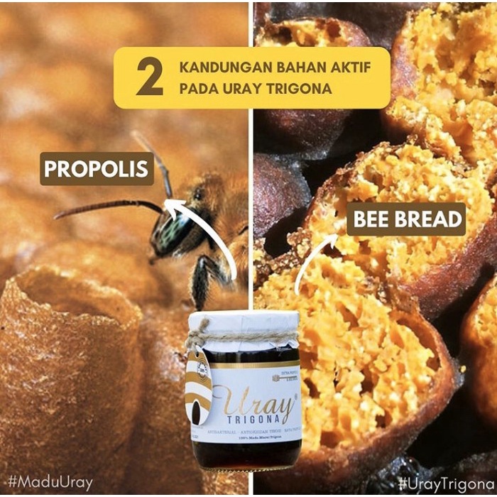 

BARANG TERLARIS Madu Uray Trigona 250 ml - 300 gr Honey Herbal