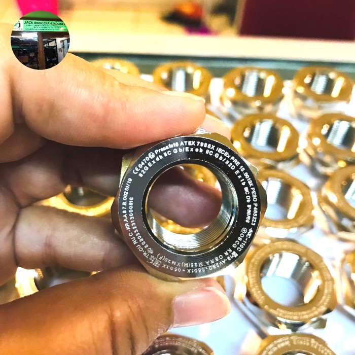 TOP OSCG OSRA EEX PROOF REDUCER CABLE GLAND M25 M X M20 F BRASS NIKEL -