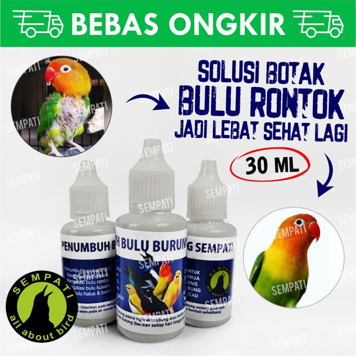 Obat Penumbuh Bulu Burung Atasi Bulu Rontok Patah Mabung Bermasalah