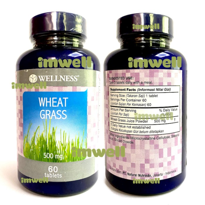 

REady!!! Wellness Wheat Grass Juice Powder 500mg Vitamin Rumput Gandum (60)