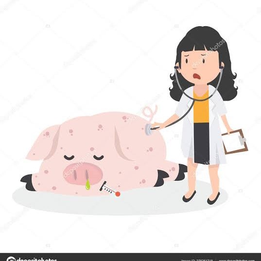 

suckling pig pesanan