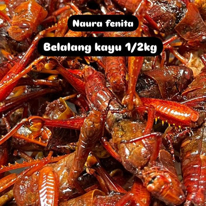

belalang goreng besar (kayu) kemasan 500gram bisa request rasa tulis di pesan opsional Cemilan Food