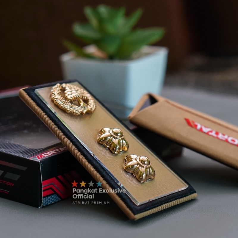 PANGKAT ASN LAMPUNG 4A - PANGKAT ASN LAMPUNG 4B- PANGKAT ASN LAMPUNG 4C